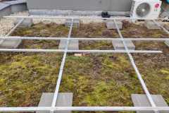 IMG-20230221-WA0006 IMG-20230221-WA0006